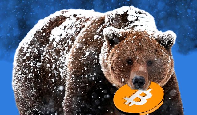 Bitcoin ve Kripto Piyasasında Neler Oluyor; Ayı Mı Geldi?