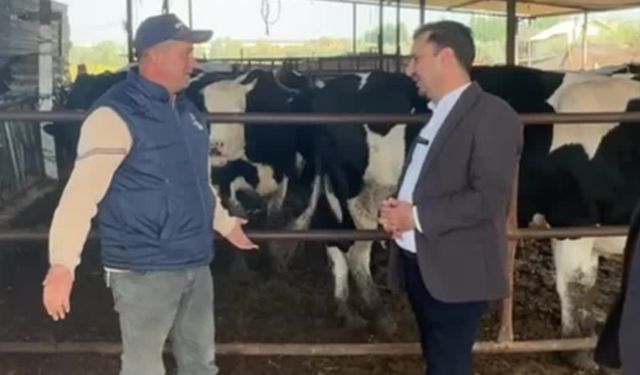 CHP’li Vekil Besicilerin Sorunlarını Dinledi: “Paranın Yarısı Kirece Gidiyor, Hayvancılığı Bırakma Noktasına Geldik"