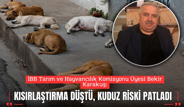 KISIRLAŞTIRMA DÜŞTÜ, KUDUZ RİSKİ PATLADI