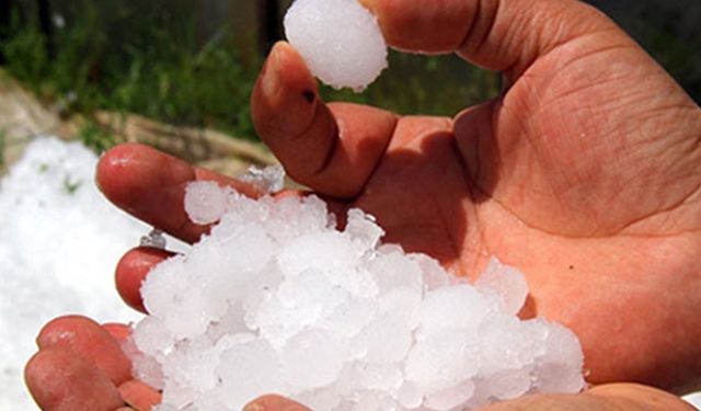 Tarıma Zirai Don Darbesi; Yeni Yılda da Fiyatlar Tutulamayacak