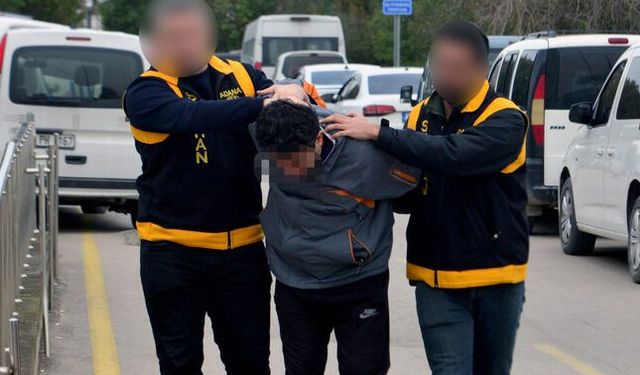 Kedi Ezen Sürücüye Sıradışı Ceza: 1 Ay Barınakta Çalışacak