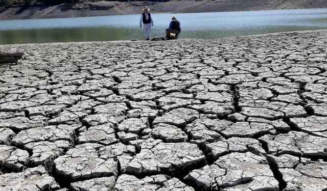 Sulak Alanlar Yok Oluyor: Küresel Ekonomide 39 Trilyon Dolarlık Kayıp Kapıda!