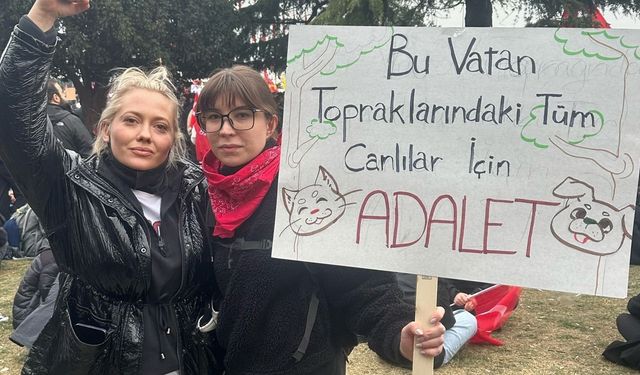 Trol Hesapların İddiaları Görevden Almaya mı Götürdü?