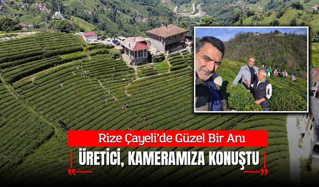 Rize Çayeli’nde Hasat Heyecanı: Celal Karaali Çayın Yolculuğunu Yerinde İnceledi