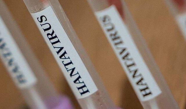 Dünya Sağlık Örgütü'nden Hantavirüs Açıklaması: "Küresel Risk Düşük"