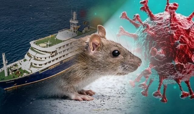 Hantavirüs Nedir, Belirtileri Nelerdir? Ruhi Çenet Kendisini Karantinaya Aldı!