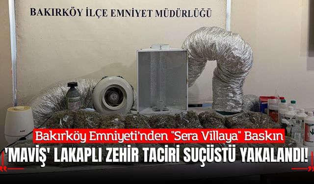 Bakırköy Emniyeti’nden "Sera Villaya" Baskın: 'Maviş' Lakaplı Zehir Taciri Suçüstü Yakalandı!