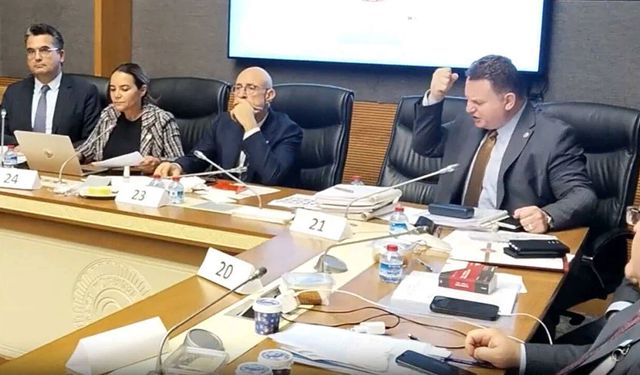 TBMM Adalet Komisyonunda Sinirler Gerildi: Ayyüce Türkeş ve MHP'li Bülbül Arasında "Pislik" ve "Çamaşır Suyu" Kavgası