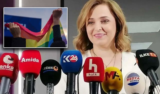 DEM Partili Ayşegül Doğan'dan Operasyon Tepkisi: "Yaşananlar Barış Sürecini Baltalamaya Yönelik"