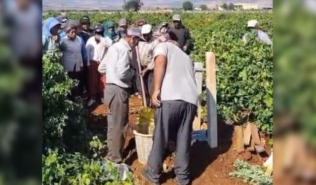 Üzüm Üreticisinden İsyan: "Çiftçi Üzümün Selasını Okuyor"