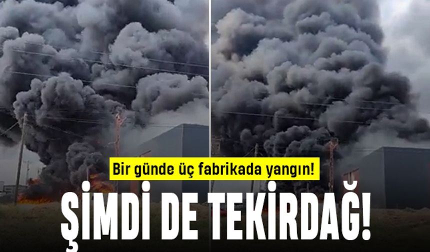 Fabrikalarda neler oluyor; Şimdi de Tekirdağ'da bir fabrika yanıyor