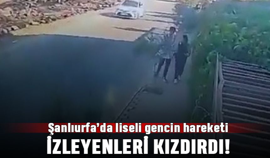 Urfa'da yoldaki fidanı kıran liseli genç gözaltına alındı