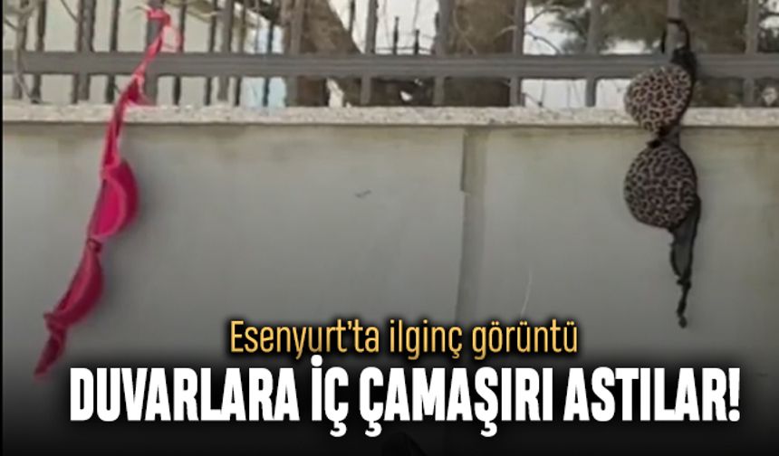 Esenyurt'ta duvarlara kadın iç çamaşırları astılar