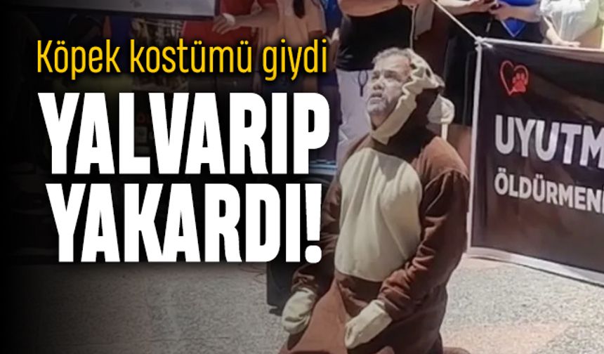 Kilis'te garip protesto; Köpek kostümü giyip meydana çöktü