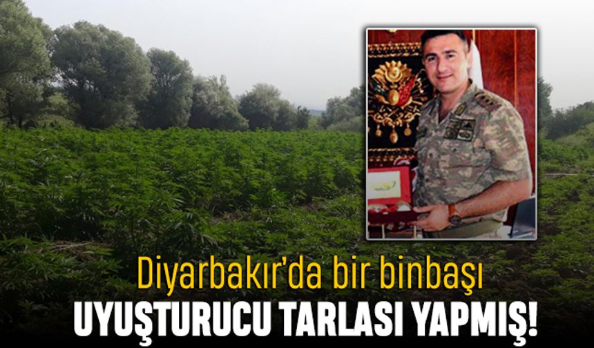Diyarbakır’da binbaşı uyuşturucu tarlası yapmış