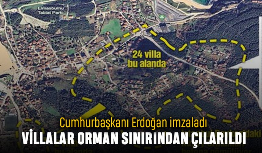 Erdoğan imzaladı; Beykoz'daki 24 villa orman alanından çıkarıldı