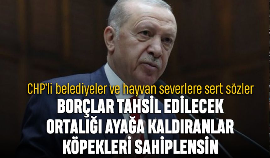 Erdoğan'dan hayvan severlere ve CHP'li belediyelere sert sözler