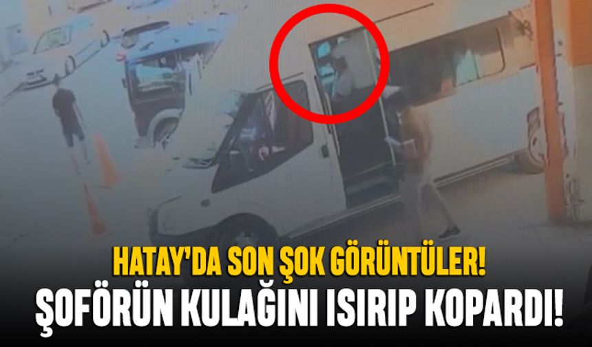 Hatay'da şok görüntüler; Minibüs şoförünün kulağını ısırıp kopardı