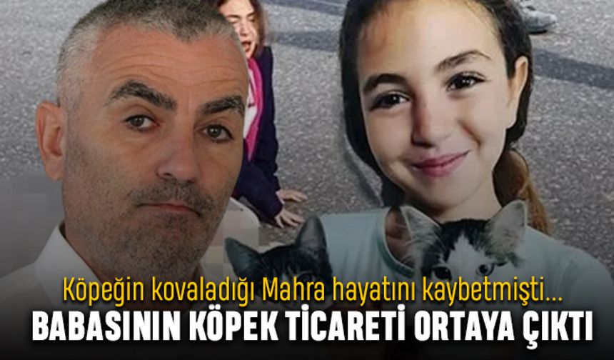 Mahra Melin Pınar'ın babası Murat Pınar’ın hayvan ticareti