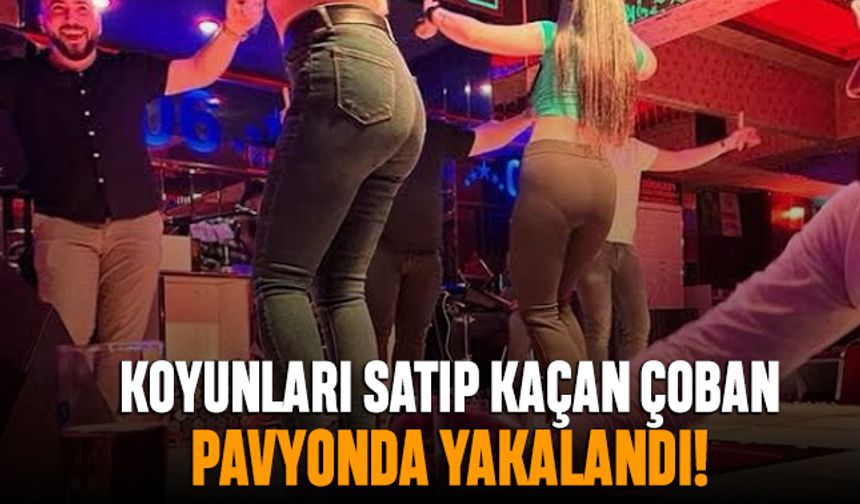 Koyunları satıp pavyona giden çoban yakalandı