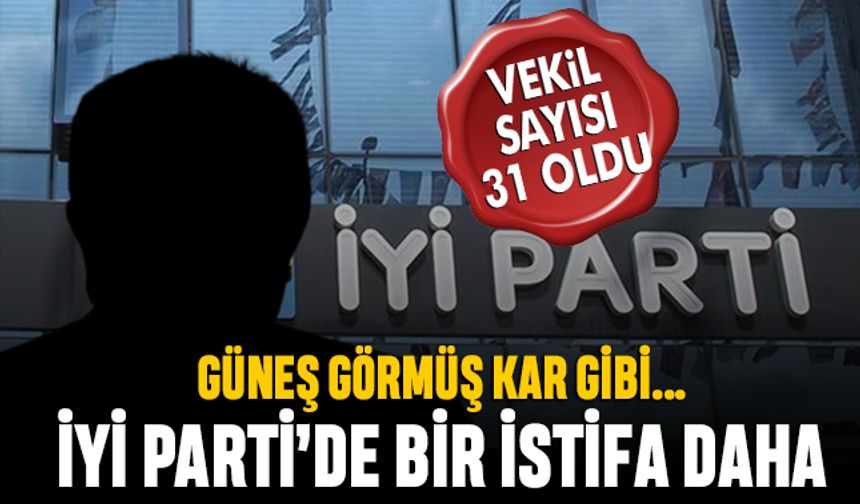 İYİ Parti'de bir istifa daha; Milletvekili sayısı 31'e düştü