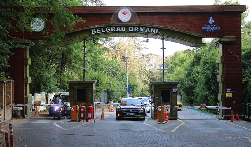 İBB’nin işlettiği Belgrad Ormanı’na polis eşliğinde tahliye