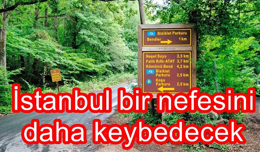 "İstanbul bir nefes borusunu daha kaybedecek"