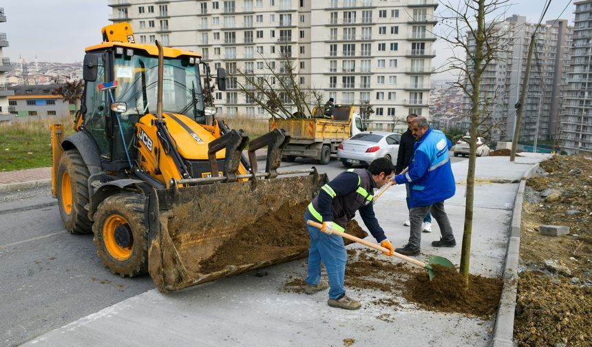 Esenyurt’un sokakları ağaçlarla süsleniyor