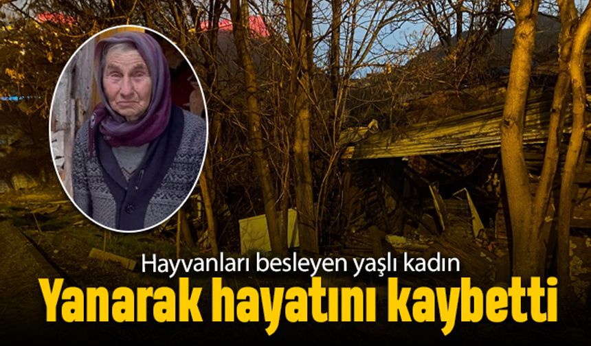 Ankara'da hayvanları besleyen yaşlı kadın yanarak hayatını kaybetti