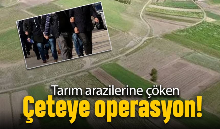 Bölünmez tarım arazilerine çöken çeteye operasyon