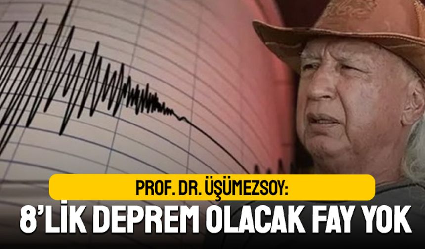 Üşümezsoy: İstanbul’da sekizlik deprem olacak fay yok