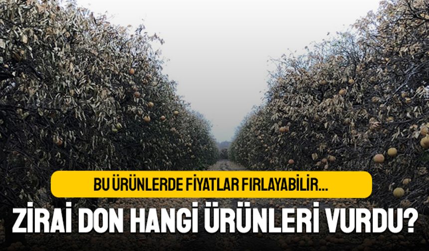 Fiyatlar fırlayabilir; Zirai don hangi ürünleri vurdu?