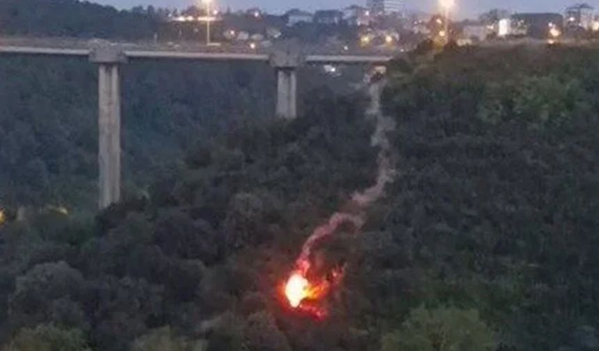Beykoz'da işaret fişeği atıp yangın çıkaran şahıs tutuklandı