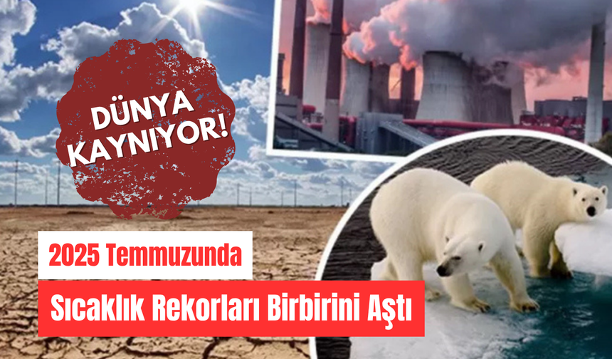 Dünya Kaynıyor: 2025 Temmuzunda Sıcaklık Rekorları Birbirini Aştı