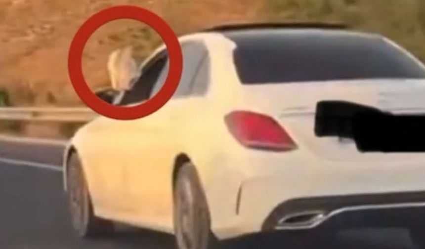 Gaziantep'te ayaklarını camdan çıkarıp araç kullanan Başsavcı gündemde