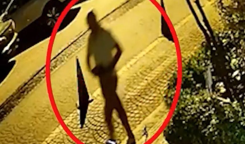Beyoğlu'nda kediye şiddet uygulayan kişiler silahla vuruldu