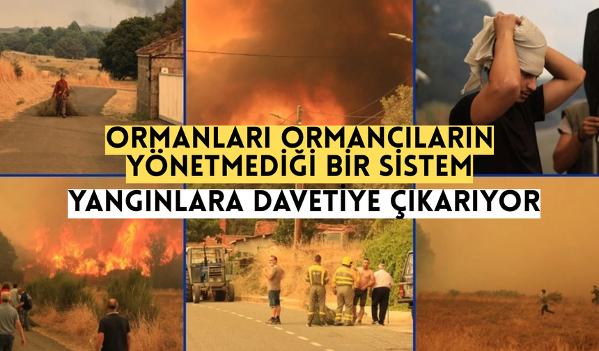 ‘Ormanları Ormancıların Yönetmediği Bir Sistem Yangınlara Davetiye Çıkarıyor’