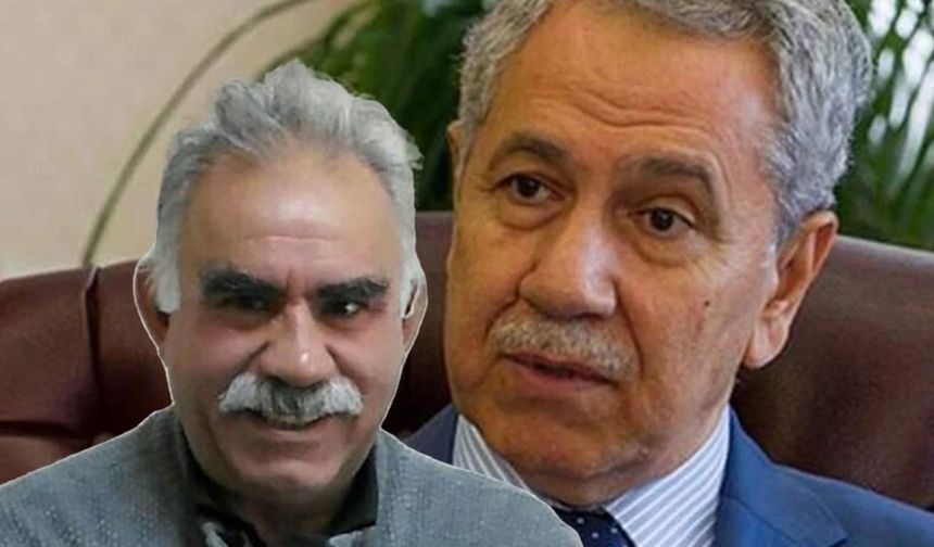 Bülent Arınç: İmralı'ya ben giderim
