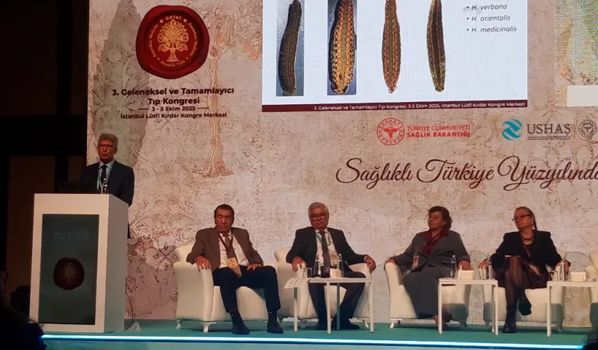 Türkiye, Geleneksel ve Tamamlayıcı Tıpta Bölgesel Merkez Olma Yolunda