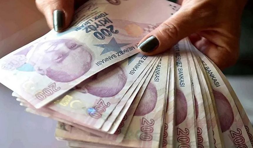 Yeni Emeklilik Sistemi TES Resmi Gazete’de Duyuruldu