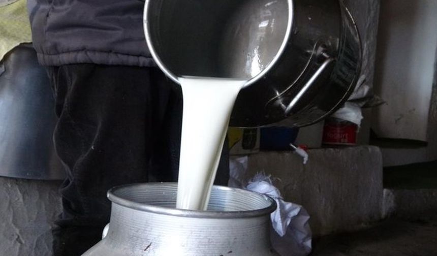 2026 çiğ süt tavsiye fiyatı belli oldu