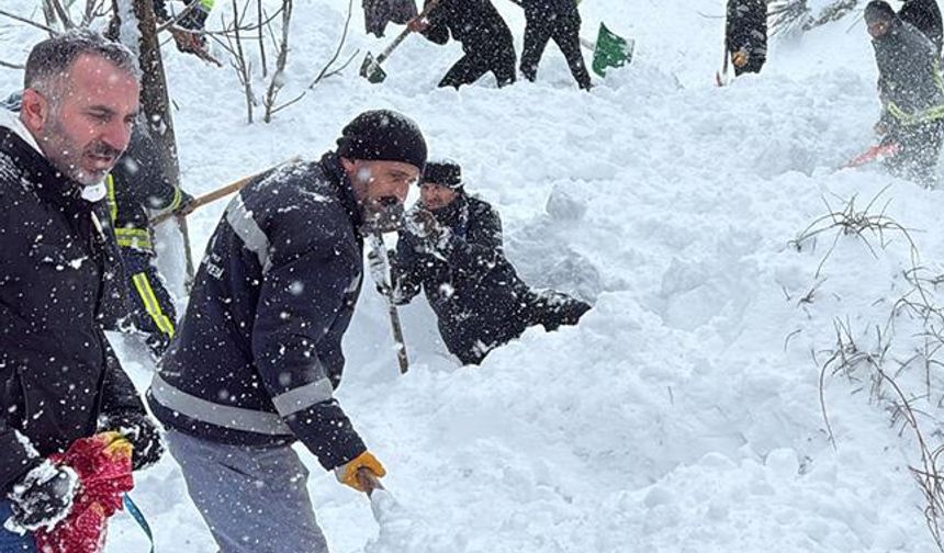 Van Çatak’ta Çığ Faciası: 1 Kadın Hayatını Kaybetti, 22 Ev Boşaltıldı