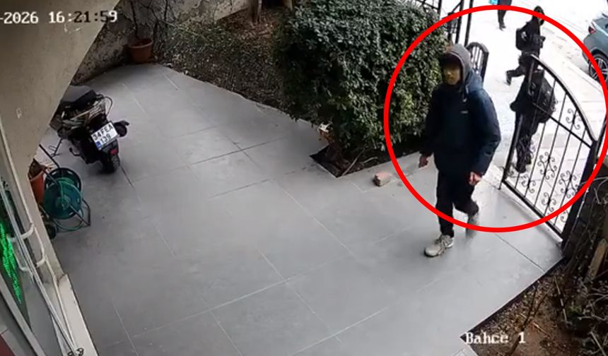 Torpil satışı neden var? İstanbul'da veterinere torpil atan çocuklar kameraya yakalandı