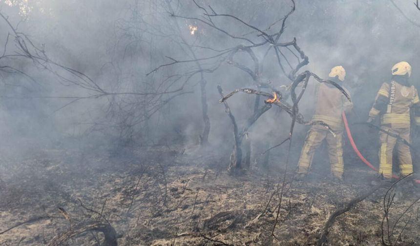 Beykoz yangınında rüzgarın 'ikinci perde' inadı kırıldı: 14 hektar kül oldu