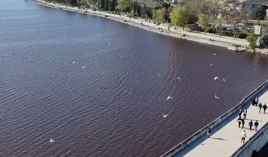 Küçükçekmece Gölü’nde kırmızı alarm: Eski yüzme günlerinden çevre felaketine...