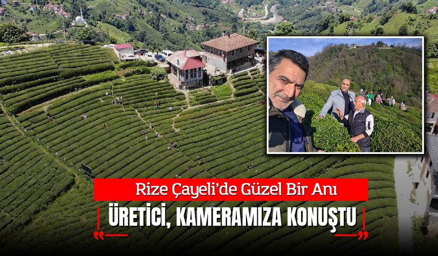 Rize Çayeli’nde Hasat Heyecanı: Celal Karaali Çayın Yolculuğunu Yerinde İnceledi