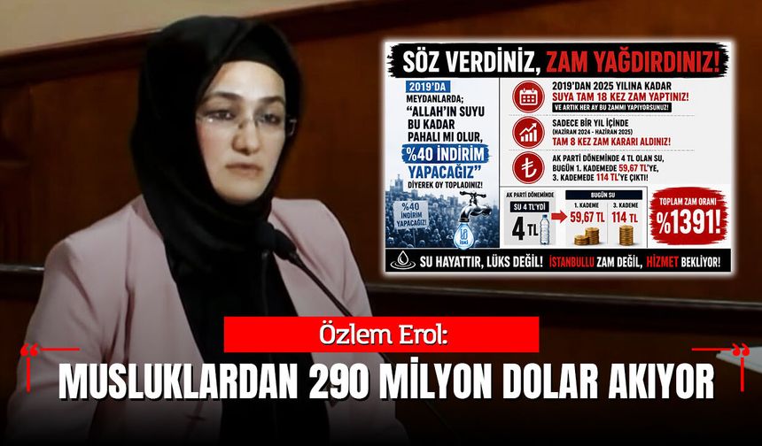 Özlem Erol : “Musluklardan 290 Milyon Dolar Akıyor”