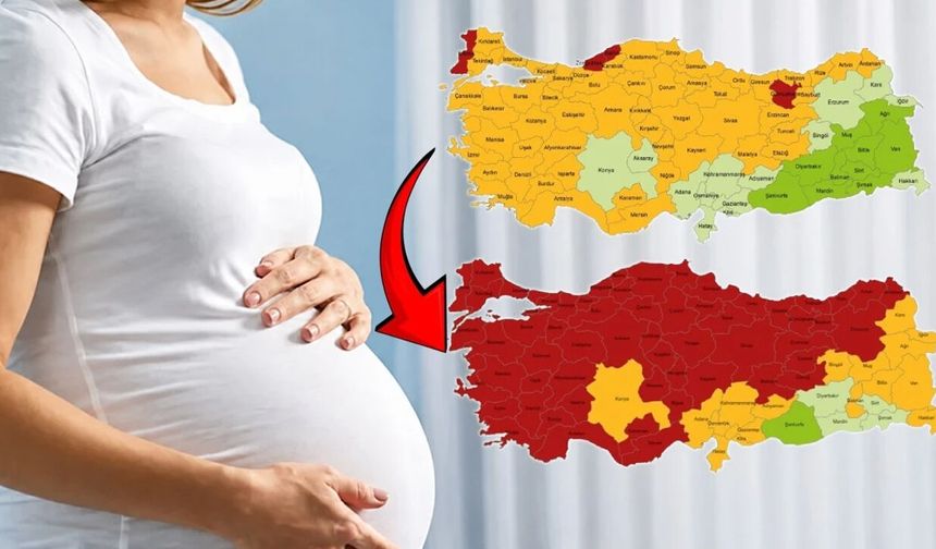 Türkiye'nin Doğurganlık Haritası Değişiyor: Nüfus Yenilenme Hızı Tarihi Düşüşte