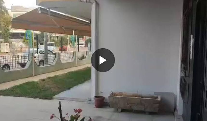 Antalya'da Suç Örgütlerinin Sosyal Medya Propagandasına Operasyon: Hedef "Çirkinler" ve "Daltonlar"