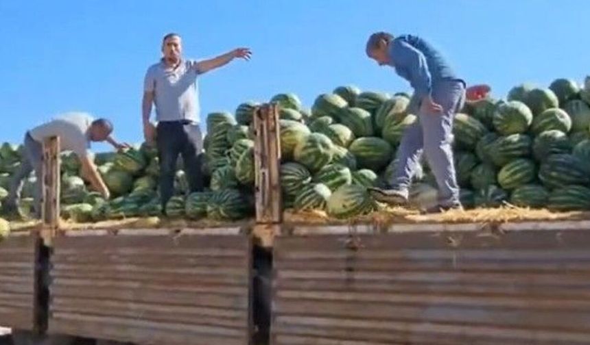Tonlarca Karpuz Çöpe Gitti: Nakliyeciden "Mahkeme Kararı" Savunması